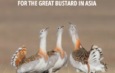 New Action Plan for Great Bustards in Asia on the agenda for CMS COP14