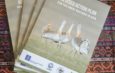 Printed copies of the Action Plan are fanned out across a table covered with a patterned weaving