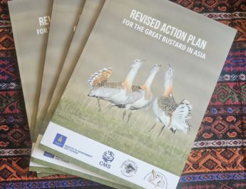 Printed copies of the Action Plan are fanned out across a table covered with a patterned weaving