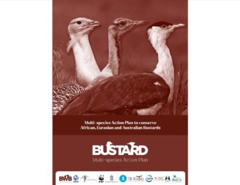 Bustards Multi-species Action Plan adopted by Convention on Migratory Species